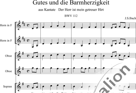 Bach, Johann Sebastian: Gutes und Barmherzigkeit - Chor>SATB+Ob2+HnF2:0