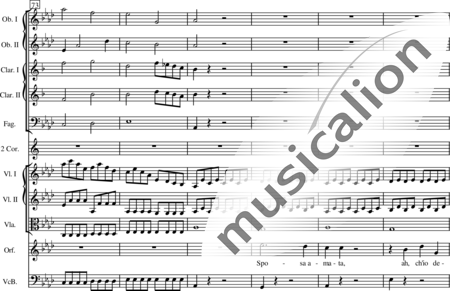 Haydn, (Franz) Joseph: In un mar (Nr. 18b, Aria (Orfeo)) - Solo>Ten+[Ob2+KlarB2+Fg]+HnF2+[Vl2+Vla+Vc]:12