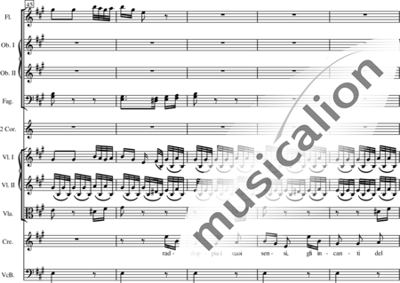 Haydn, (Franz) Joseph: Aria (Creonte) "Chi spira e non spera" (25) - Solo>X+|AnderesInstrument:7