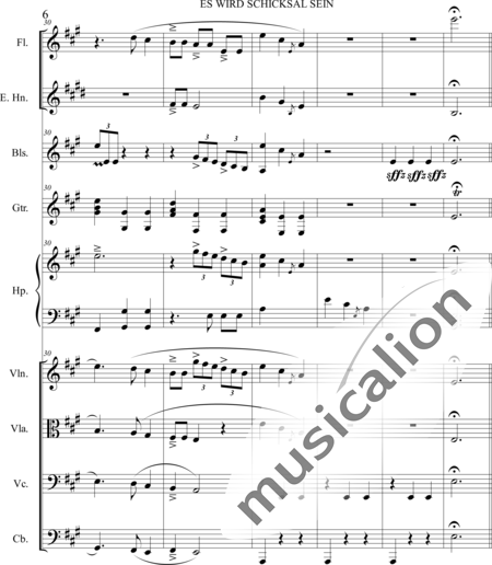Dominguez Arcos, Alicia: Es wird Schicksal sein - Violín+Viola+Violoncello+Contrabajo+Flauta+Corno inglés+Arpa+Guirarra+|otro instrumento:6