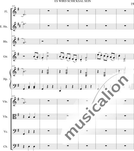 Dominguez Arcos, Alicia: Es wird Schicksal sein - Violín+Viola+Violoncello+Contrabajo+Flauta+Corno inglés+Arpa+Guirarra+|otro instrumento:19