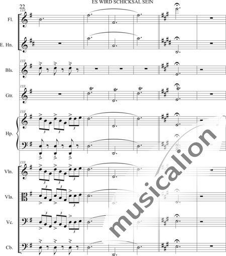 Dominguez Arcos, Alicia: Es wird Schicksal sein - Violín+Viola+Violoncello+Contrabajo+Flauta+Corno inglés+Arpa+Guirarra+|otro instrumento:22
