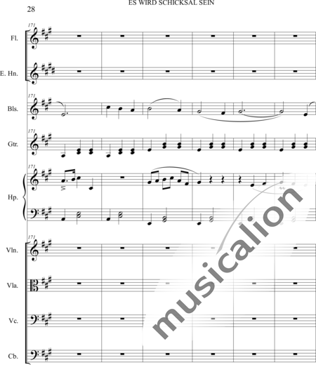 Dominguez Arcos, Alicia: Es wird Schicksal sein - Violín+Viola+Violoncello+Contrabajo+Flauta+Corno inglés+Arpa+Guirarra+|otro instrumento:28