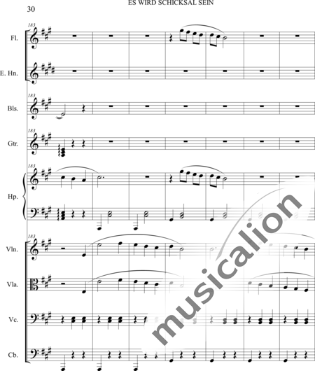 Dominguez Arcos, Alicia: Es wird Schicksal sein - Violín+Viola+Violoncello+Contrabajo+Flauta+Corno inglés+Arpa+Guirarra+|otro instrumento:30