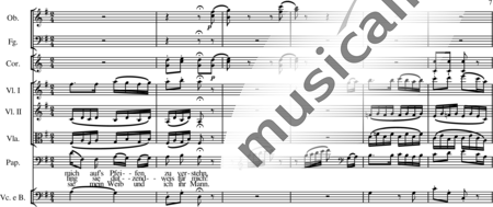 Mozart, Wolfgang Amadeus: Sí, yo soy el cazador de pájaros (Aria de Papageno) - Solo>bajo+[Ob2+Fg2]+Cr2+[Vl2+Vla+Vc+Cb]:6