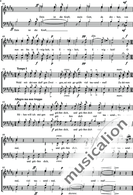 Häsler, Carl: Der Wald - Chor>TTBB:4