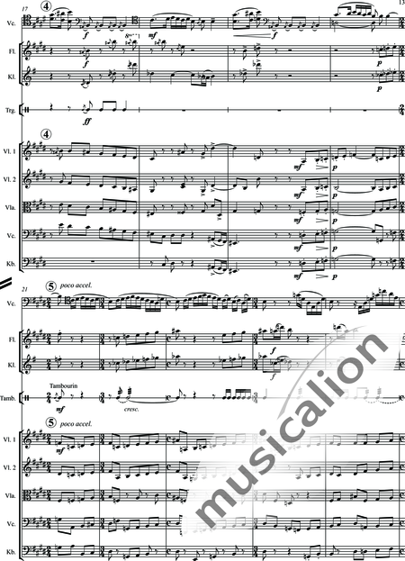 Bartók, Béla: Rhapsody Nr. 1 - Violoncello 2+[Fl+Klar]+Pk+[Vl2+Vla+Kb]:13