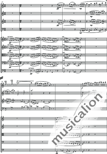 Zeumer, Gerhard: Concerto piccolo - Flöte+[Ob+Klar+Fg]+[Vl2+Vla+Vc+Kb]:9