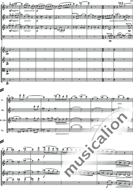 Zeumer, Gerhard: Concerto piccolo - Flöte+[Ob+Klar+Fg]+[Vl2+Vla+Vc+Kb]:21