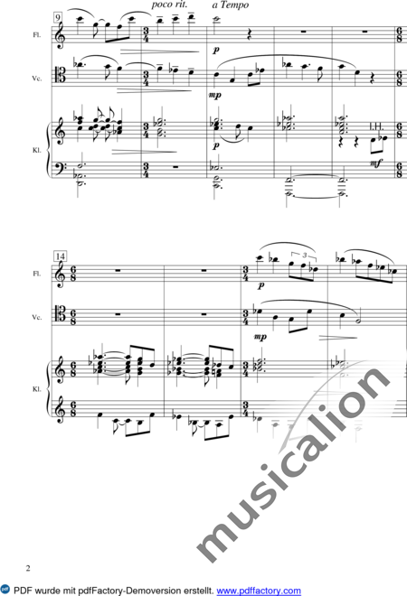 Esser, Stefan
: Schumann Variation - Flauta+Pno+Vc:2