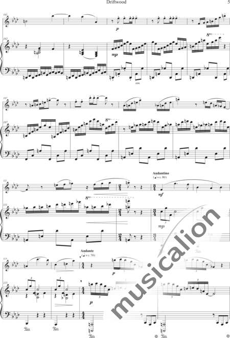 Schimpp, Markus: Driftwood - Oboe+Klavier:5
