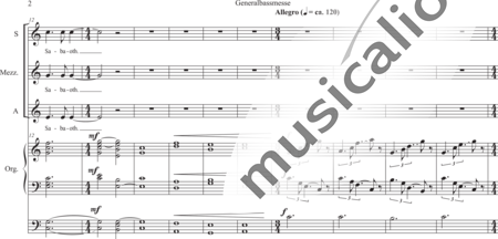 Schäfer, Martina: Sanctus (Sanctus Dominus) - Coro>SSA+Órgano>cPed:1