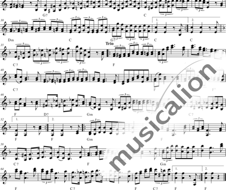 Doswald, Josef: Treue Begleiter - Akkordeon:1