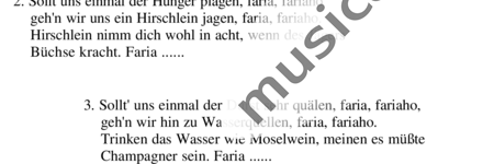 Anonymus, Unknown: Lustig ist das Zigeunerleben (German folk song) - Solo>x:1
