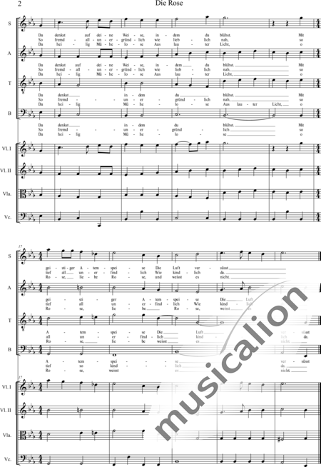 Fröhner, Erhard: Die Rose - Chor>SATB+[Vl2+Vla+Vc]:2