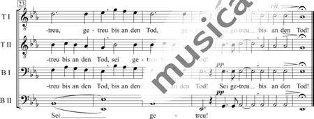 Hiltmann, E.: Sei getreu! - Chor>TTBB:2
