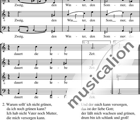 Anonymus, Unbekannt: O Tannenbaum, o Tannenbaum - Chor>SATB:1