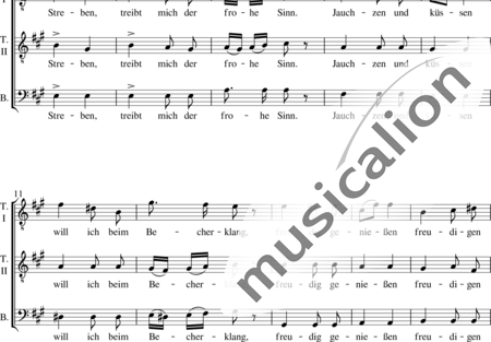 Eisenhofer, Franz Xaver: Leichter Sinn - Chor>TTB:1