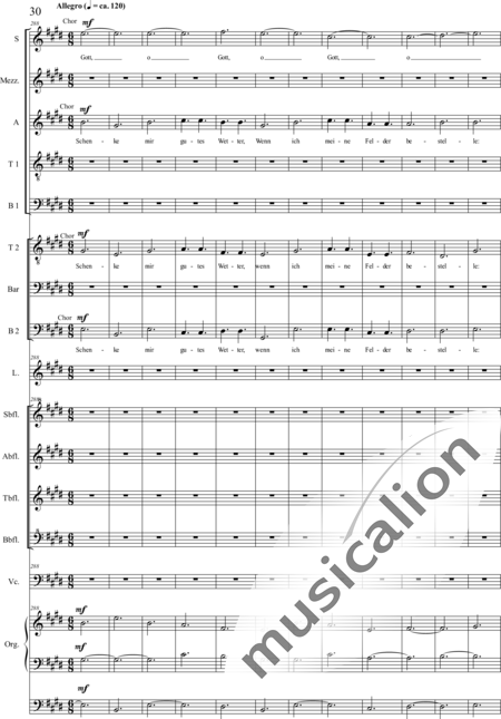 Schäfer, Martina: 4. Akt Auf dem Hasunger Berg - Solo>Sop/Alt/Ten+Chor>SSATB/TBBB+Bfl4+Vc+Org+Lt:30