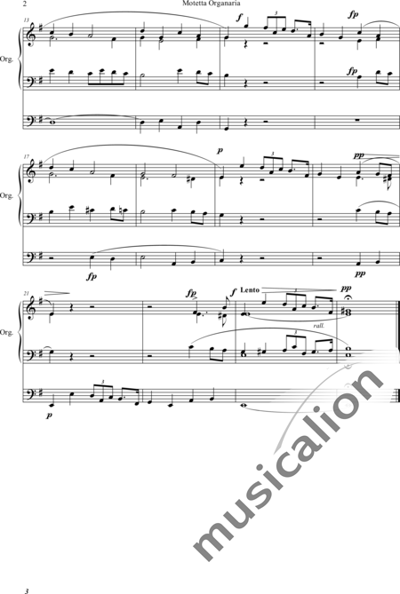 Walczynski, Franciszek: Larghetto e-moll - Orgel>mPed:2