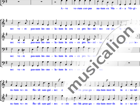 Elgar, Edward
: Ave Verum (Motete) - Coro>SATB:1