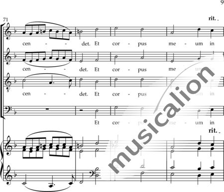 Drewes, Michael: Putrefactus ero in aeternam - Coro>SATB+Cémbalo:9