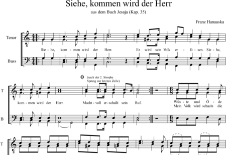 Hanauska, Franz: Siehe kommen wird der Herr - Chor>TTBB:0