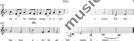 Drewes, Michael: Putrefactus ero in aeternam - Chor>SATB+Violine 2+[Vla+Vc+Kb]:28