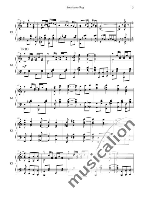 Johnson, Charles Leslie: Snookums Rag - Klavier:3