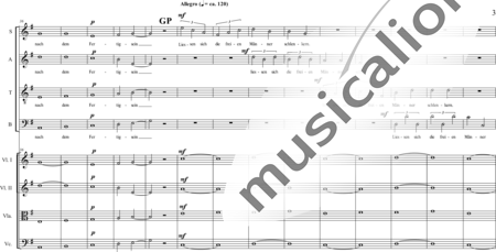 Schäfer, Martina: Wyborada - String version - VI. Movement, No. 2-Crucifixion - Choir>SATB+[Vln2+Vla+Vlc]:2