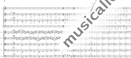 Schäfer, Martina: Wyborada - String Version - VII. Movement: Resurrection - Solo>sop2/alto2/Ten/bajo2+Coro>SSAATBB+[Vl2+Vla+Vc+Cb]:5