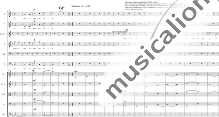 Schäfer, Martina: Wyborada - String Version - VII. Movement: Resurrection - Solo>sop2/alto2/Ten/bajo2+Coro>SSAATBB+[Vl2+Vla+Vc+Cb]:6