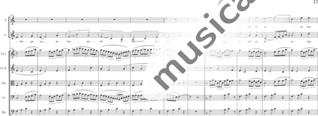 Schäfer, Martina: Wyborada - String Version - VII. Movement: Resurrection - Solo>sop2/alto2/Ten/bajo2+Coro>SSAATBB+[Vl2+Vla+Vc+Cb]:12