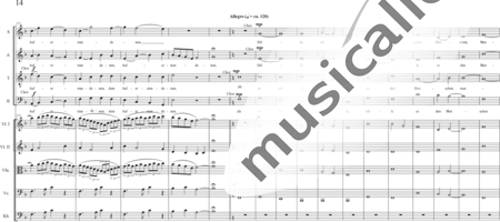Schäfer, Martina: Wyborada - String Version - VII. Movement: Resurrection - Solo>sop2/alto2/Ten/bajo2+Coro>SSAATBB+[Vl2+Vla+Vc+Cb]:13