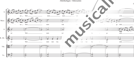 Schäfer, Martina: Wyborada - String Version - Interlude VI.3. on VII - Solo>sop2/alto2+[Vl2+Vla+Vc+Cb]:6
