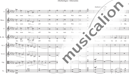 Schäfer, Martina: Wyborada - String Version - Interlude VI.3. on VII - Solo>sop2/alto2+[Vl2+Vla+Vc+Cb]:10