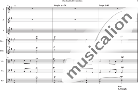 Schäfer, Martina: The Hunchbacked Little Man - 6th verse: I sit at My Little Wheel - Choir>SAT+Rec2+[Vla+Vlc+Db]:2