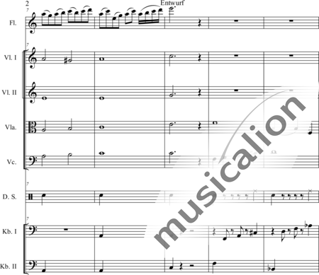 Schaepers, Felix: Modern play - Flauta+[Vla2+Cb2+Vl+Vc]+Perc:2