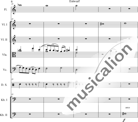 Schaepers, Felix: Modern play - Flauta+[Vla2+Cb2+Vl+Vc]+Perc:6
