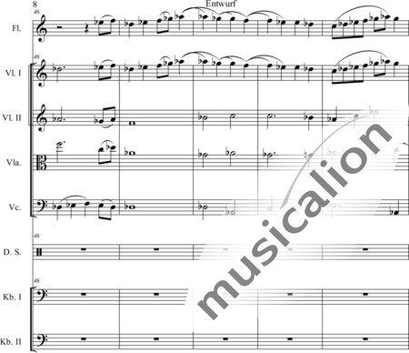 Schaepers, Felix: Modern play - Flauta+[Vla2+Cb2+Vl+Vc]+Perc:8