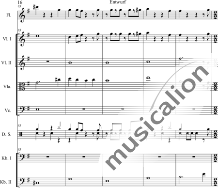 Schaepers, Felix: Modern play - Flauta+[Vla2+Cb2+Vl+Vc]+Perc:16