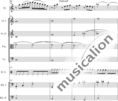 Schaepers, Felix: Modern play - Flauta+[Vla2+Cb2+Vl+Vc]+Perc:20