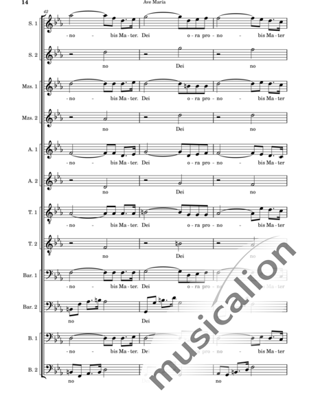 Cassone, Leopoldo: Ave María - Chor>SSSSAATTBBBB:14