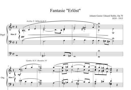 Stehle, Johann Gustav Eduard: Fantasie "Erlöst" (Fantasy “Redeemed”) - Organ>wped:0