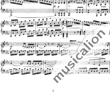 Schubert, Franz (Peter): Piano Sonata No. 19 in - Piano:1