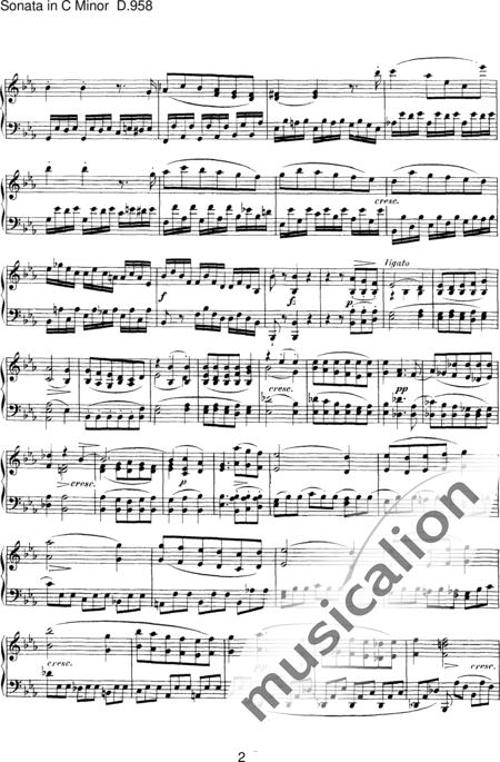 Schubert, Franz (Peter): Piano Sonata No. 19 in - Piano:2