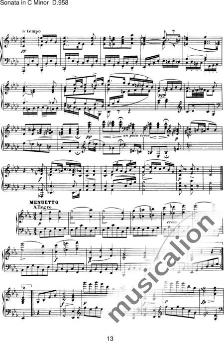 Schubert, Franz (Peter): Piano Sonata No. 19 in - Piano:13