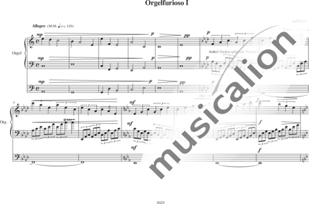 Schäfer, Martina: Orgelfurioso I - Orgel>mPed:0