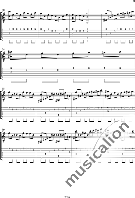 Lisul, Igor: Home - Gitarre:3