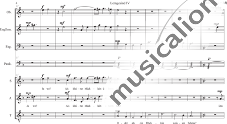 Schäfer, Martina: Lerngesind IV - The Dead Little Beetle (The Green Little Beetle) - Choir>SAT+Timpani+[Ob+Bn+Ehn]:3